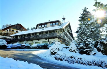 Hotel Villa Wilma *** - Folgaria