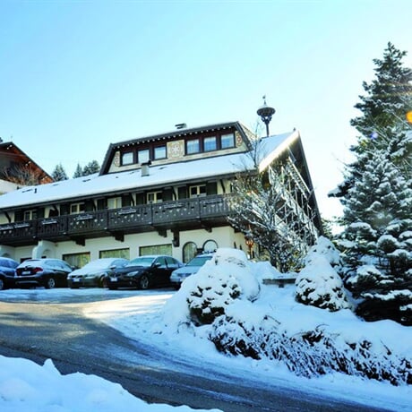 Hotel Villa Wilma *** - Folgaria