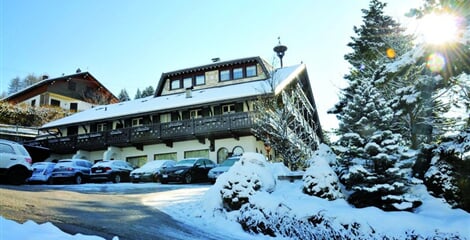 Hotel Villa Wilma *** - Folgaria