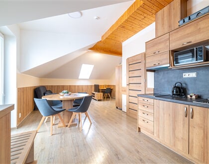14 01 Apartmán Superior Vila Věra Rožnov