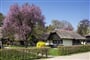 Bungalovy Terme 3000