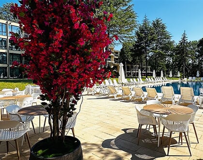 Queen-Nelly-Park-Hotel-24-9