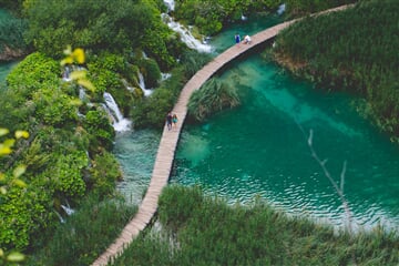 Green pond walkway