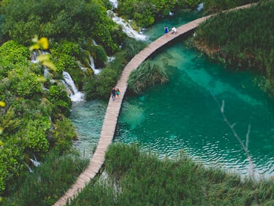 Green pond walkway