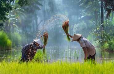 Vietnam A Kambodža