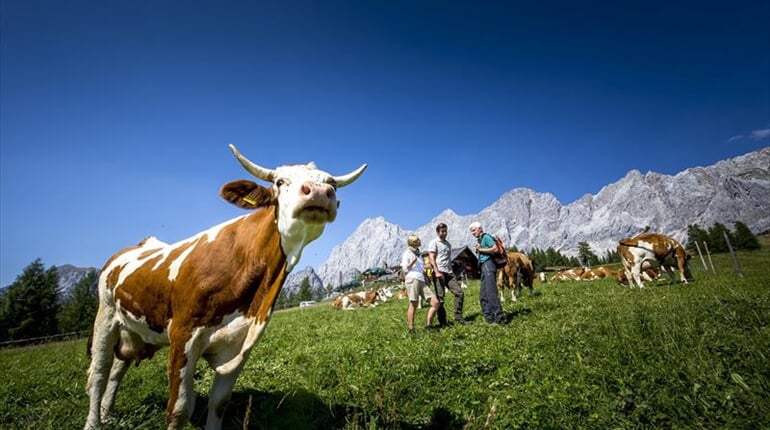 Foto - Schladming - Dachstein - Dachsteinská bomba pro seniory ****