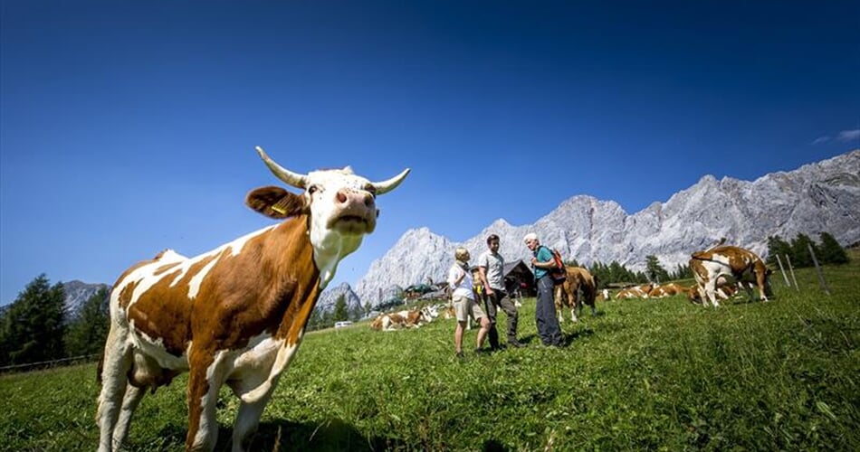 Foto - Schladming - Dachstein - Dachsteinská bomba pro seniory ****