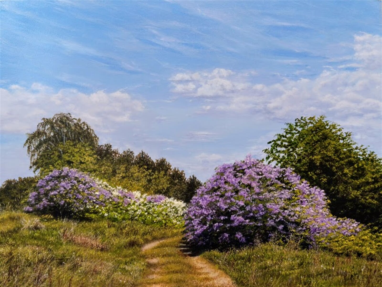 Kamila Hajdušková: Kvetoucí stezka,, 30 × 40 cm
