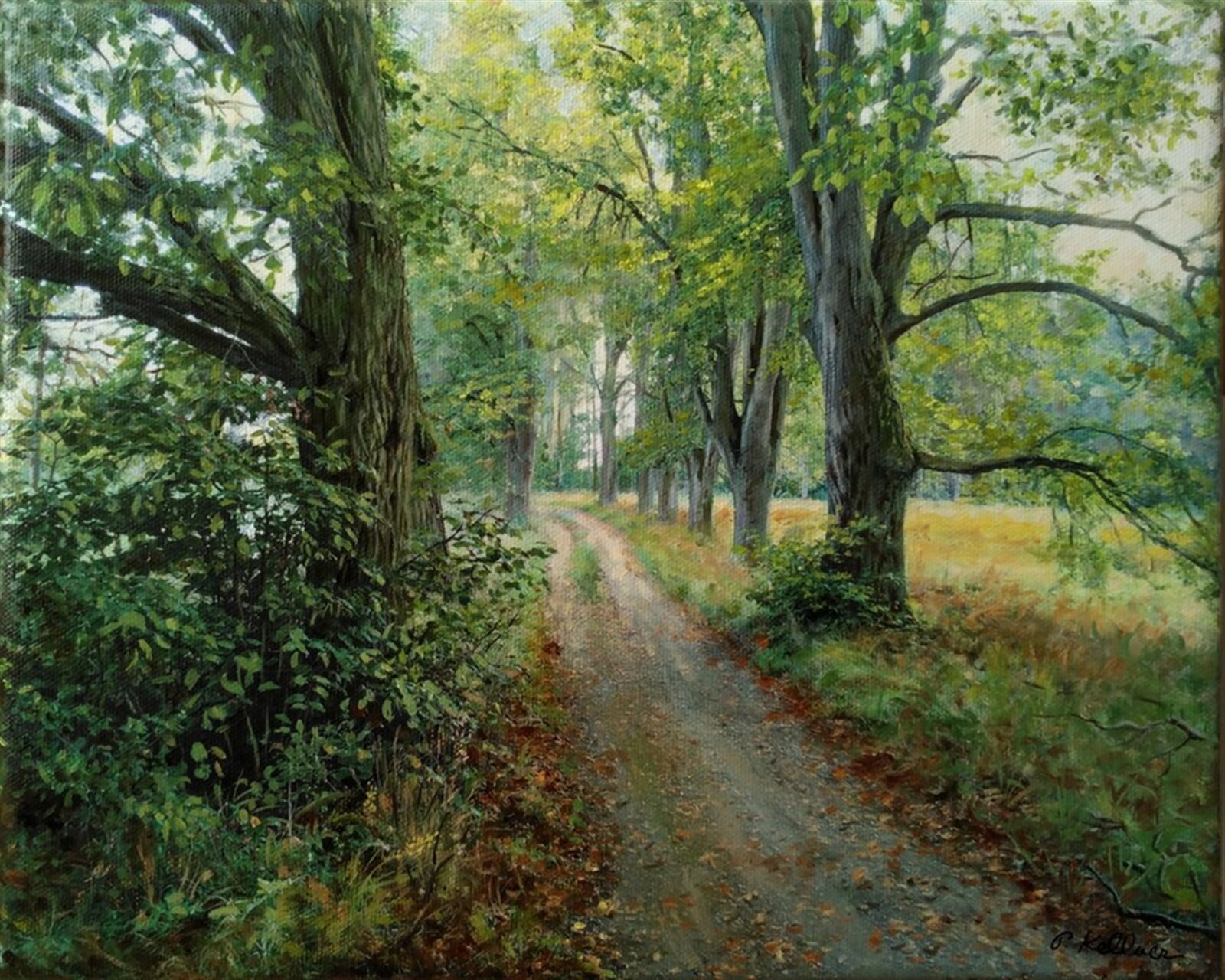 Petr Kellner: Lány - Nové Dvory, 24 × 30 cm