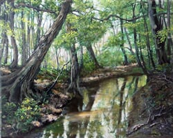 zákolanský potok 50x40cm
