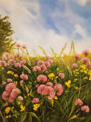 za plotem, václavovice