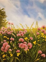 za plotem, václavovice