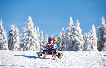 Terme Zreče - SKI & SPA - 4 noci, dítě do 12 let zdarma