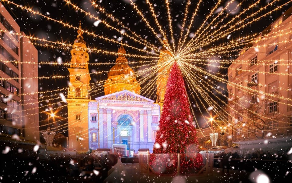 shutterstock_2488531339