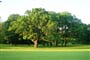 Golfové hřiště Šilheřovice