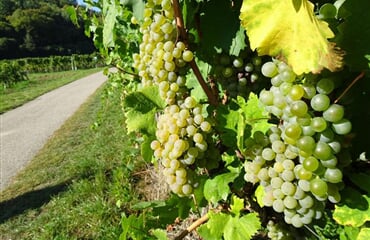 Wachau - Perly Dolního Rakouska - Velikonoce