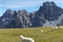 Foto - Innsbruck a okolí - Krása horských štítů nad Innsbruckem