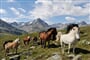 Foto - Innsbruck a okolí - Krása horských štítů nad Innsbruckem