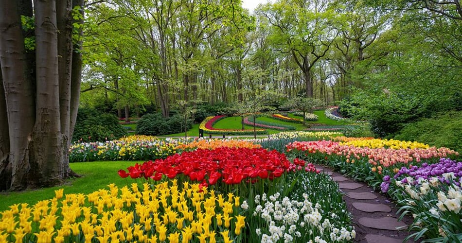 Foto - Velikonoční Amsterdam + KVĚTINOVÁ ZAHRADA KEUKENHOF + SLAVNÁ MUZEA (letecky z Pr