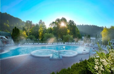 Terme Topolšica - Hotel Vesna***