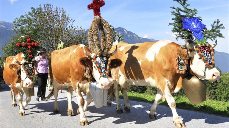 Foto - Pitztal - Údolí Pitztal a Kaunertal - alpské pokladnice pro seniory ****