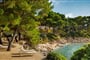 Carolina Valamar Hotel & Villas - Suha Punta (ostrov Rab) - 101 CK Zemek - Chorvatsko