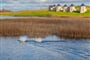 Lough Erne Resort Lodge