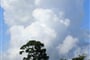 Foto - Guatemala - Honduras - Belize - Mexiko