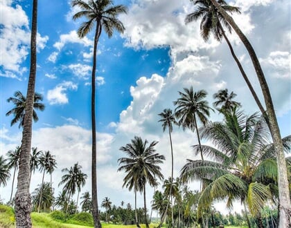 Golf Tanzanie