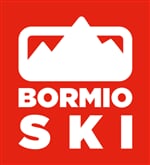 bormioski logo 1