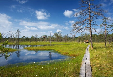 Estonsko, Finsko - Přírodní a historické poklady severu