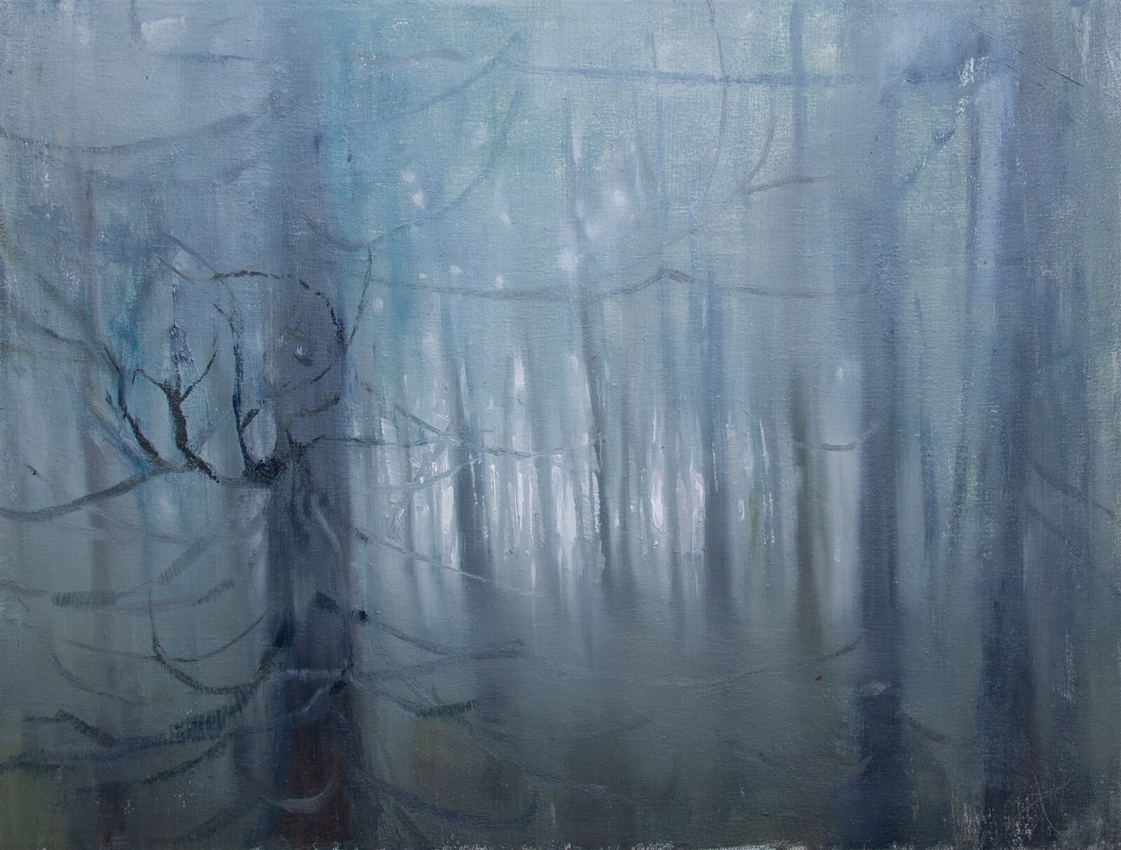 Adéla Topolová: Mlhavý prales, 46 × 60 cm