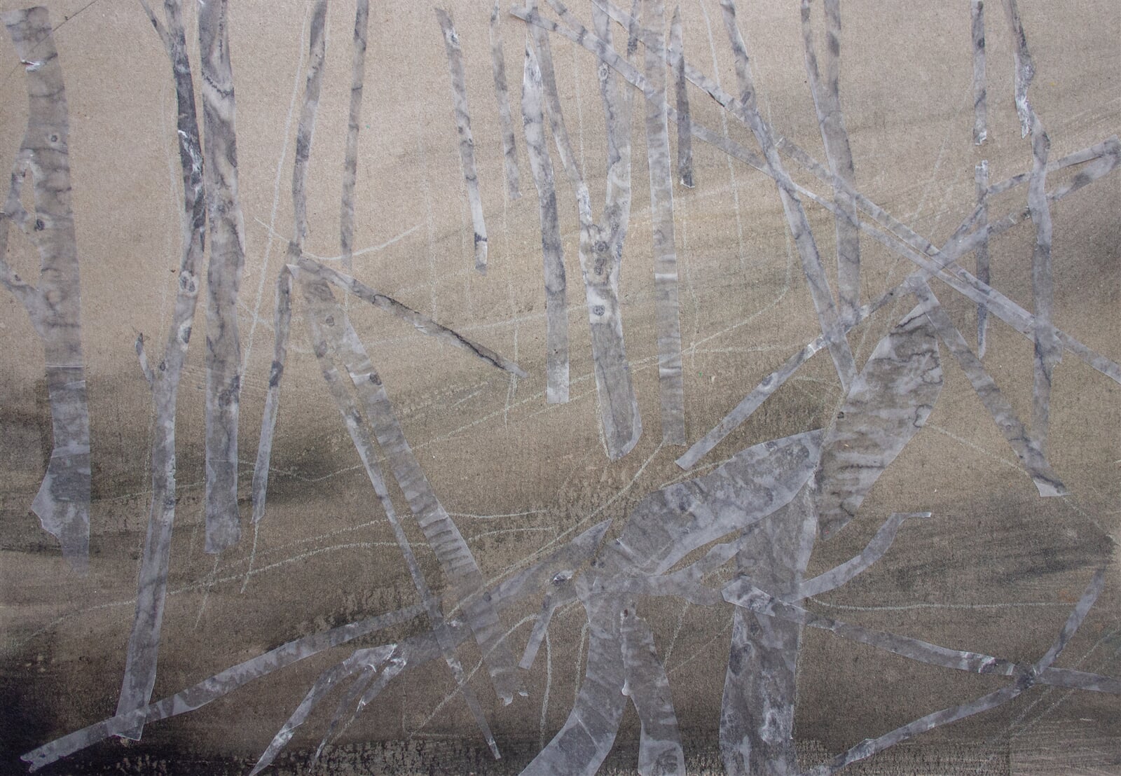 Adéla Topolová: Kmen na kmeni, 27 × 40 cm