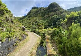 Azorské ostrovy - Sao Miguel – pěší turistika v zeleném ráji ***