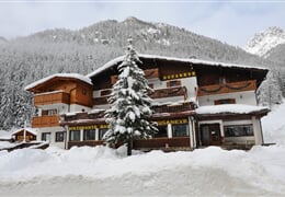 Hotel Bucaneve *** - Moena