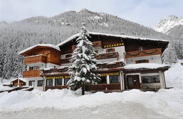 Hotel Bucaneve *** - Moena