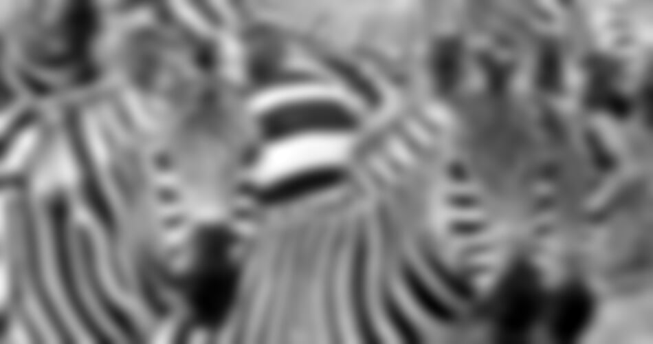 Keňa – Kombinace Safari A Bílých Pláží