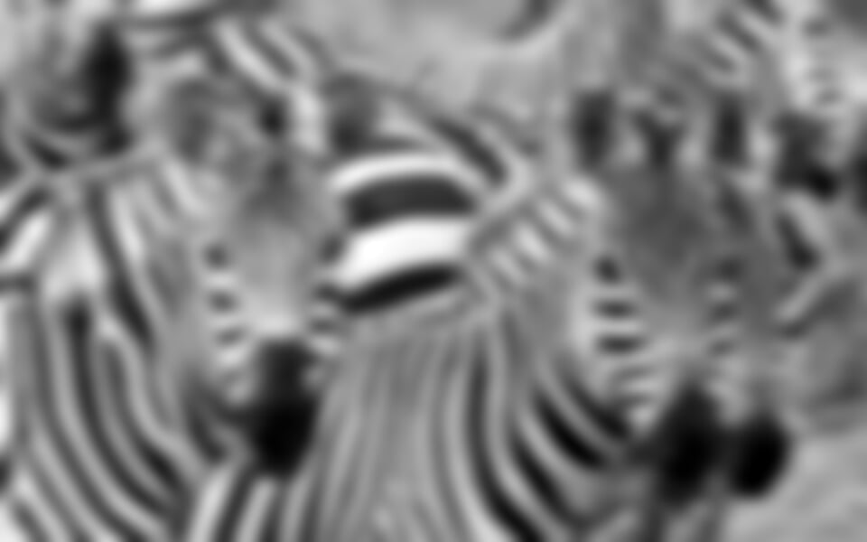 Keňa – Kombinace Safari A Bílých Pláží