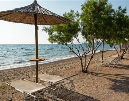 Hotel Delfinia - Lesbos: fotografie vybavení exteriérů a interiérů ubytování.