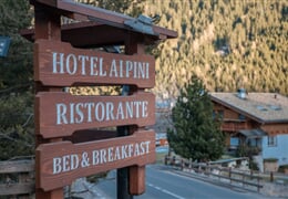 Hotel Ai Pini*** - Vigo di Fassa