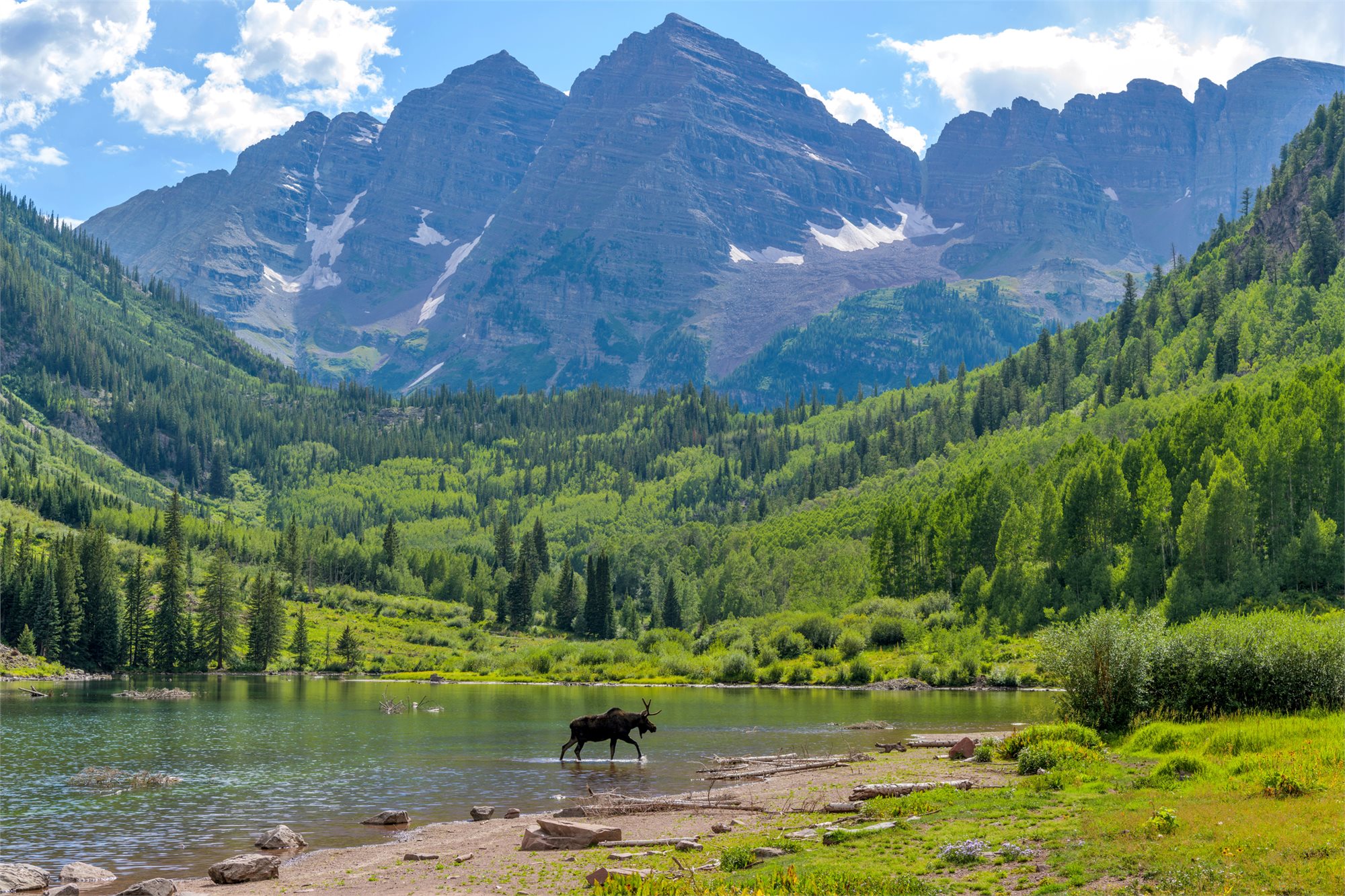 Aspen - Maroon Bells