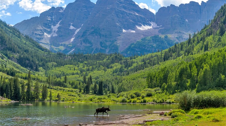 Aspen - Maroon Bells