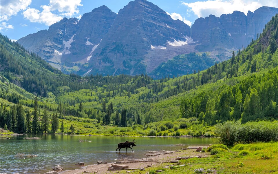 Aspen - Maroon Bells