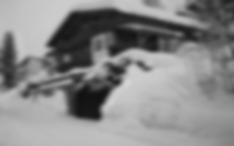 Ski Juwel - Penziony Wildschönau