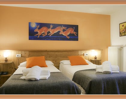 Indren Hus Residence,Alagna (10)