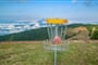 disc golf