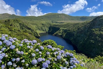 Azorské ostrovy - Sao Miguel a Flores – pěší turistika v květinovém ráji ***