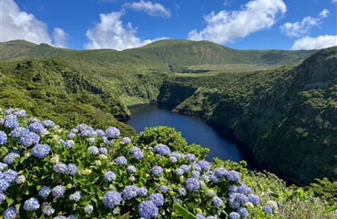 Azorské ostrovy - Sao Miguel a Flores – pěší turistika v květinovém ráji ***