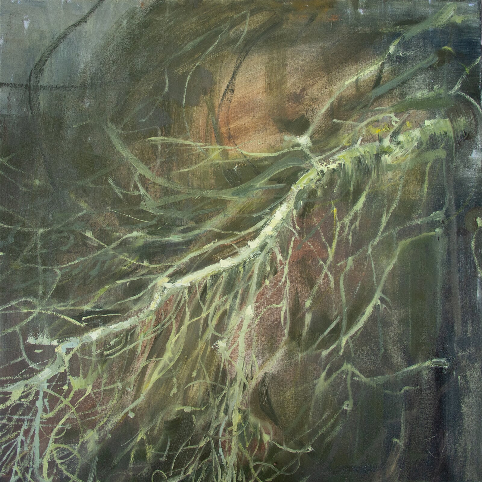 Adéla Topolová: Větvoví, 70 × 70 cm