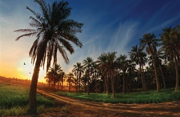 Saudská Arábie s odpočinkem v Bahrajnu - Saudská Arábie s odpočinkem v Bahrajnu